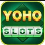 Yoho slots