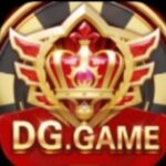 Dg game